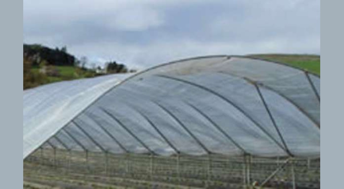 Agrofóliák, építési PE fóliák