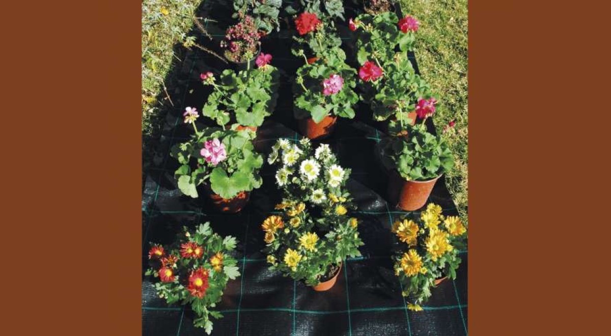 Kertészeti és barkácstermékek